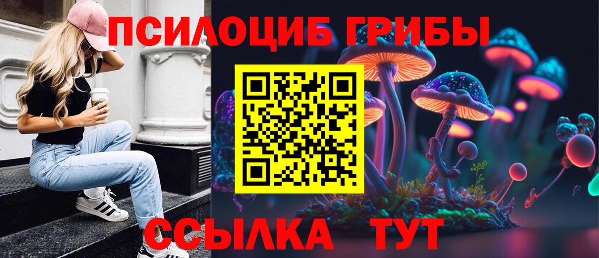 Пушкино  Галлюциногенные грибы MAGIC MUSHROOMS  Псилоцибиновые грибы прущие грибы  Вход с VPN 